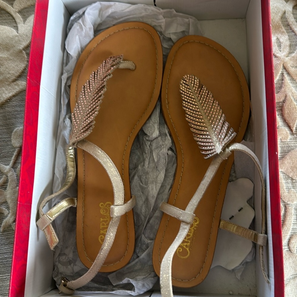 Carlos Santana sandals